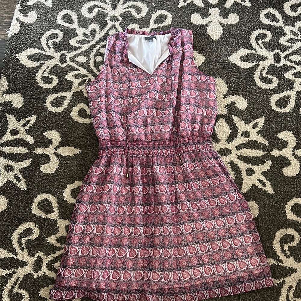 The Limited Dress